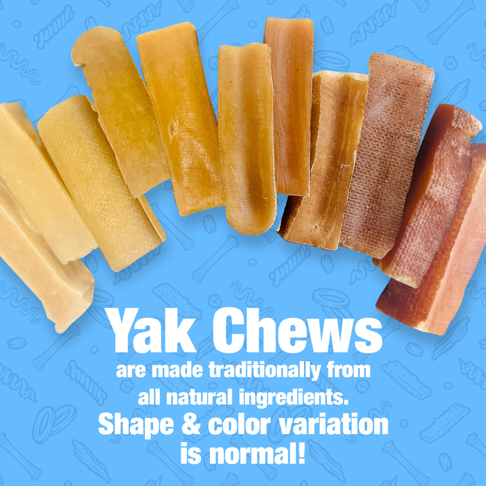 Himalayan Yak Cheese Dog Chews, Medium, 6 lb - Long-Lasting for Aggressive Chewers, All Natural, Healthy & Safe, Low Odor Nepal Yak Milk Chews 